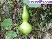 снимка 5140 към албум Пътувания