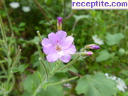 снимка 5146 към албум Пътувания