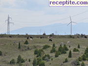 снимка 5302 към албум Пътувания