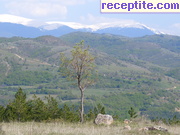 снимка 5092 към албум Пътувания