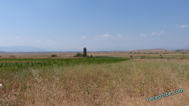 Снимки към Пътувания