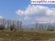 снимка 5347 към албум Пътувания