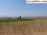 снимка 5369 към албум Пътувания