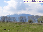 снимка 5346 към албум Пътувания