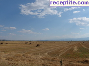 снимка 5769 към албум Пътувания