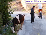 снимка 5596 към албум Пътувания
