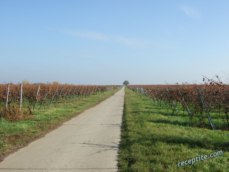 Снимки към Пътувания