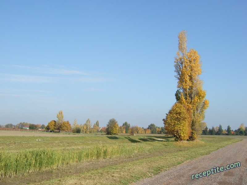 Снимки към Пътувания