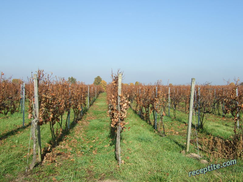 Снимки към Пътувания