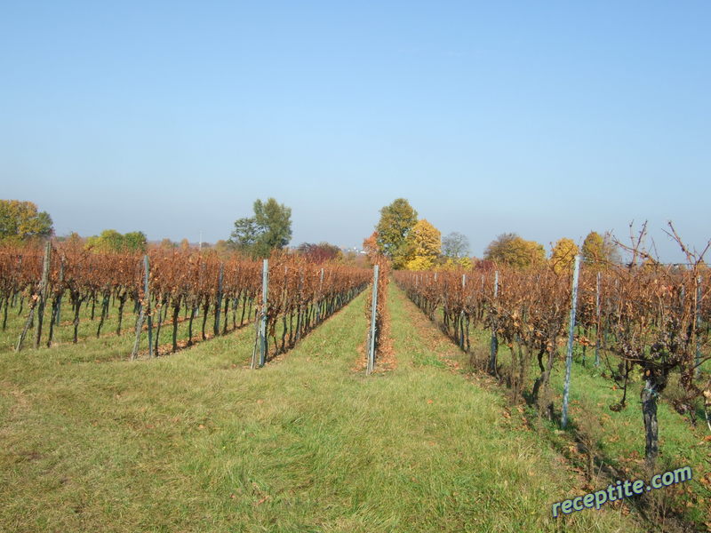 Снимки към Пътувания