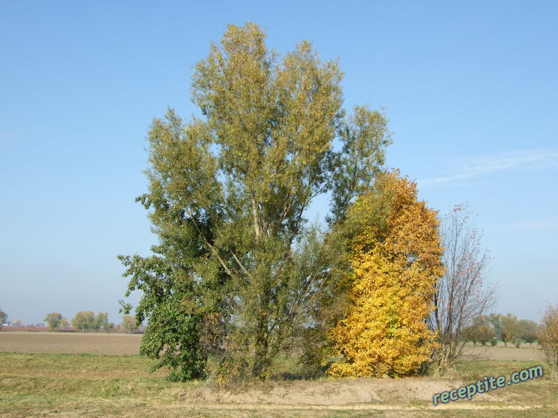 Снимки към Пътувания