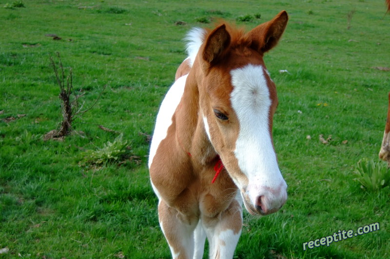 Снимки към Пътувания