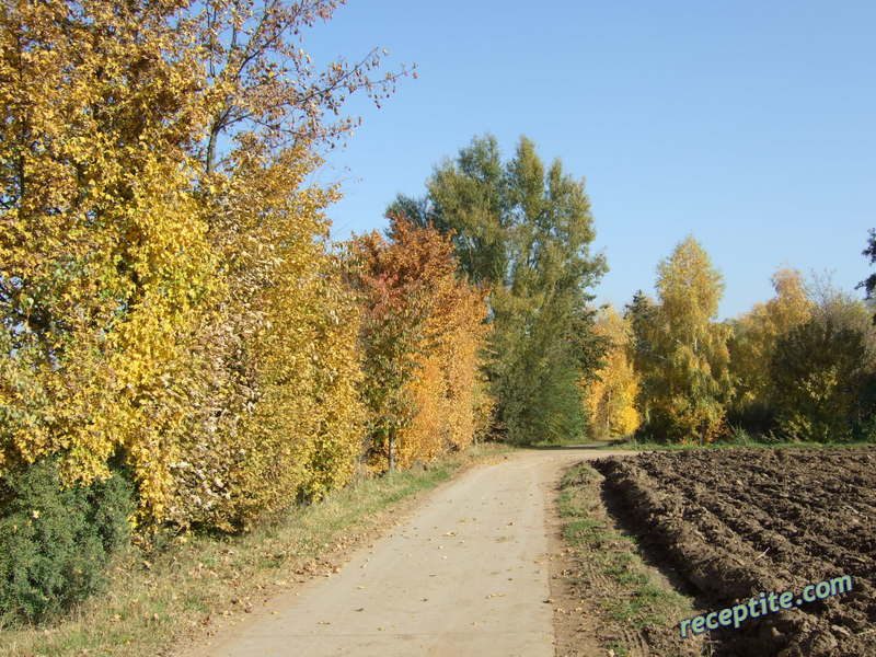 Снимки към Пътувания