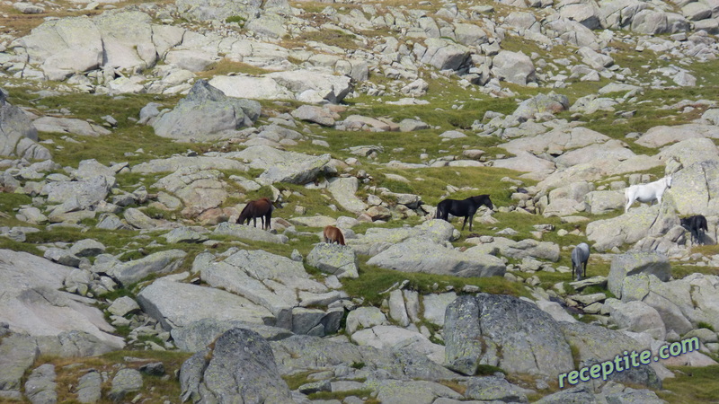 Снимки към Пътувания