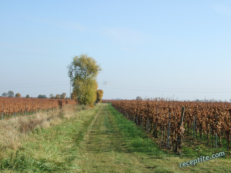 Снимки към Пътувания