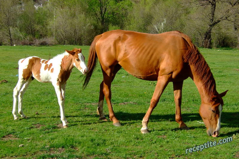 Снимки към Пътувания