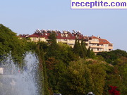 снимка 6585 към албум Пътувания