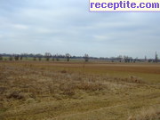 снимка 6301 към албум Пътувания