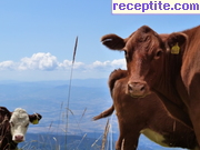 снимка 6646 към албум Пътувания