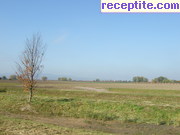 снимка 6215 към албум Пътувания