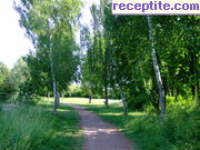 снимка 6038 към албум Пътувания