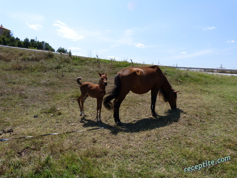 Снимки към Пътувания