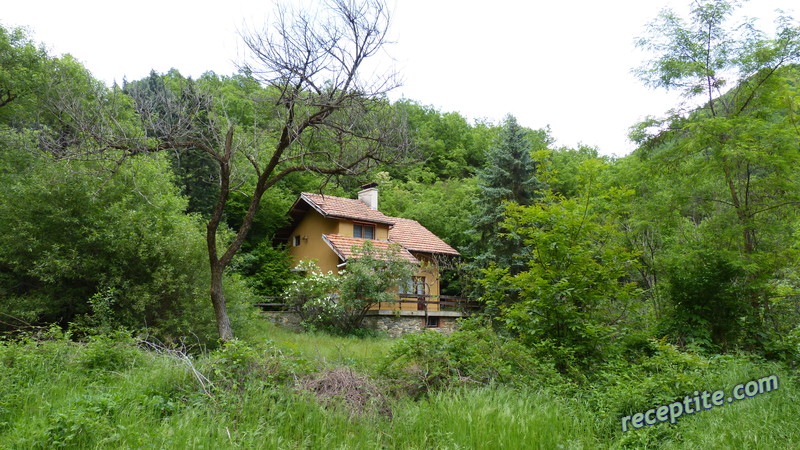 Снимки към Пътувания