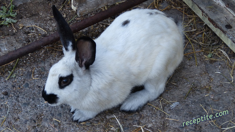 Снимки към Пътувания