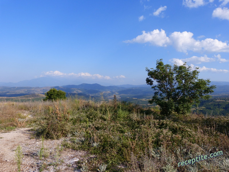 Снимки към Пътувания