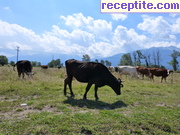 снимка 7743 към албум Пътувания
