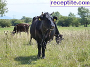 снимка 7745 към албум Пътувания