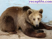 снимка 8113 към албум Пътувания