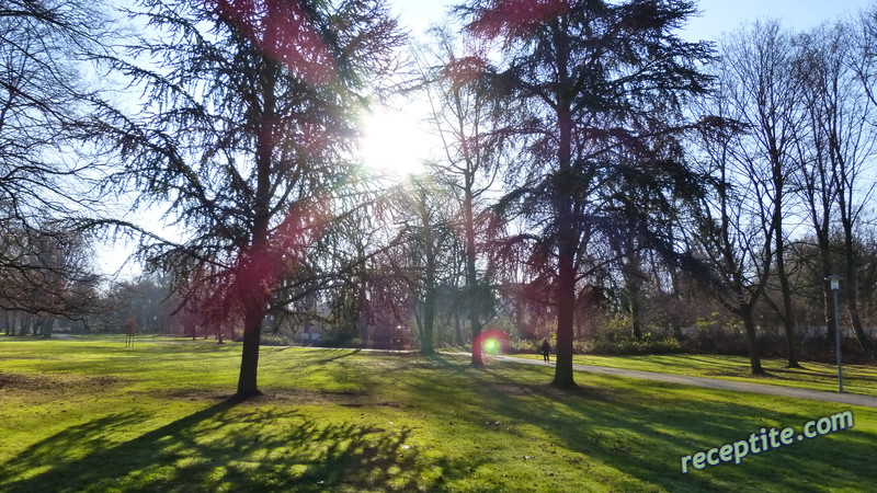 Снимки към Пътувания