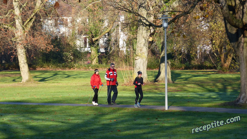 Снимки към Пътувания