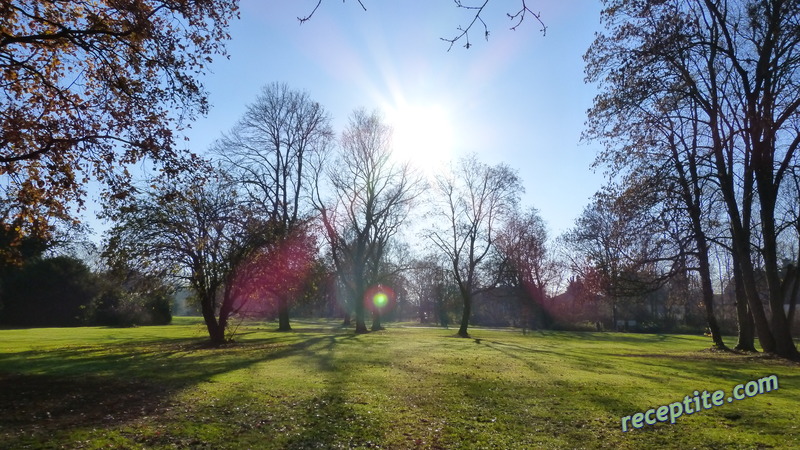Снимки към Пътувания
