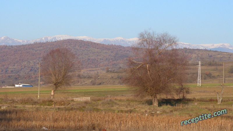 Снимки към Пътувания