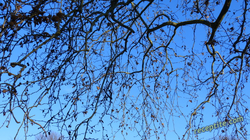 Снимки към Пътувания