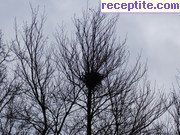снимка 8532 към албум Пътувания