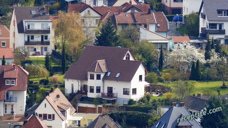 Снимки към Пътувания