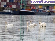 снимка 8927 към албум Пътувания