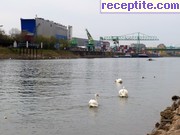 снимка 8920 към албум Пътувания