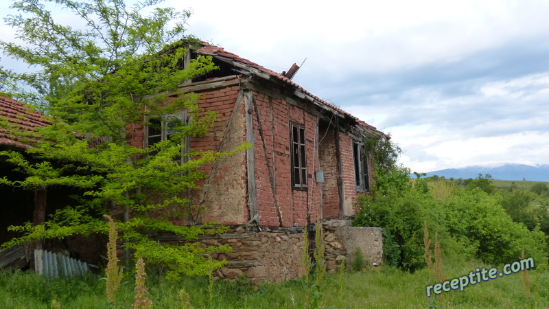 Снимки към Пътувания