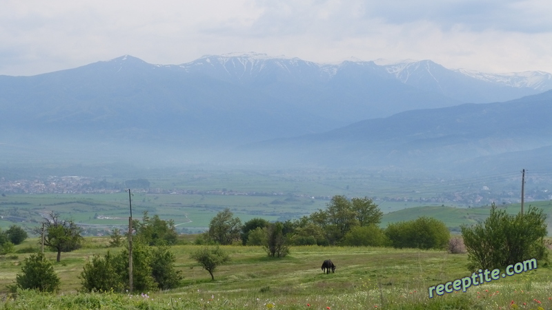 Снимки към Пътувания