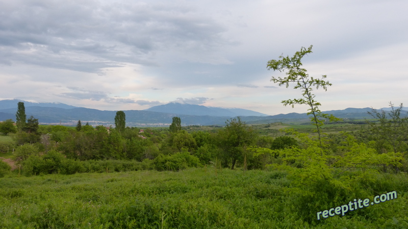 Снимки към Пътувания
