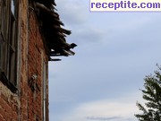 снимка 9919 към албум Пътувания