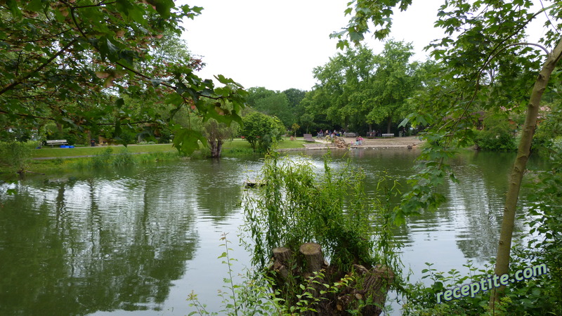 Снимки към Пътувания