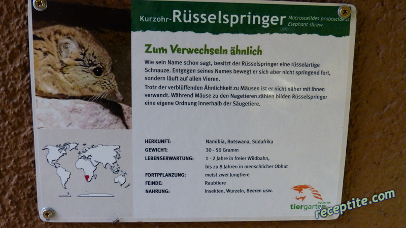 Снимки към Пътувания