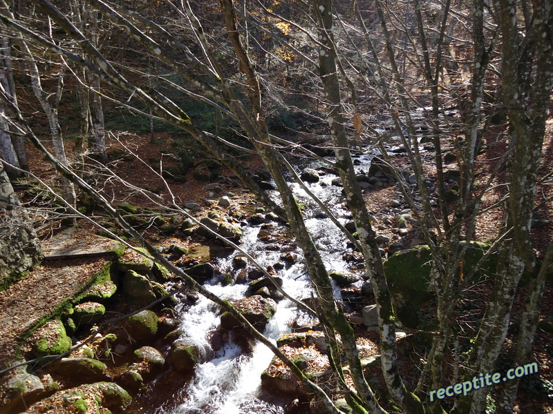 Снимки към Пътувания