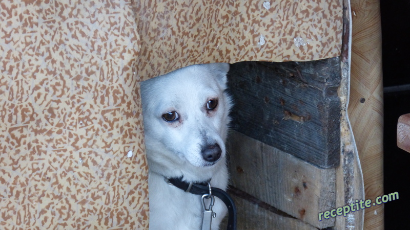 Снимки към Пътувания