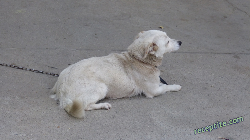 Снимки към Пътувания